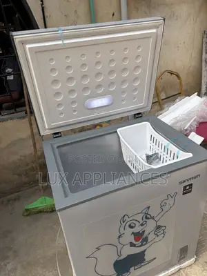 Skyrun 145L Deep Freezer for Small Businesses