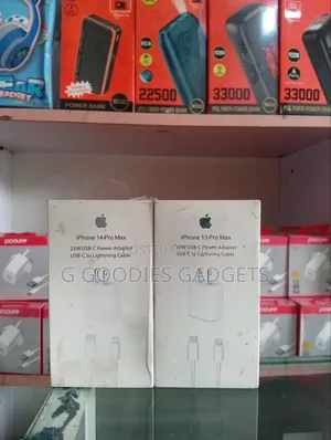 Apple iPhone Charger