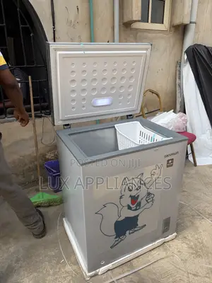 Skyrun BD-180AI Freezer for Meat Storage