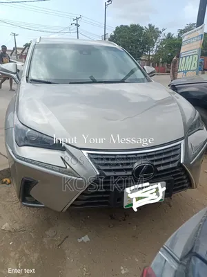 Lexus NX 300 FWD 2020 Gray