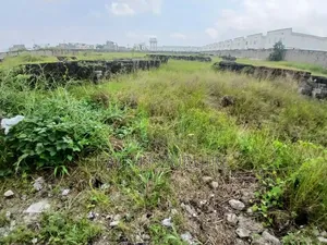 Fenced and Gated 10 Plots of Land for Sale