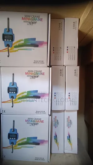 300kg Digital Crane Hanging Scale