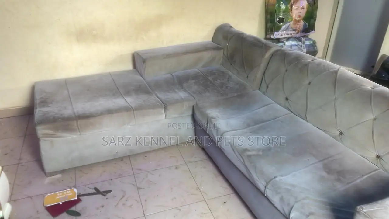 L Shape Couch