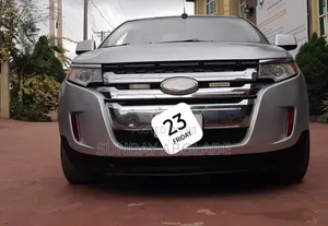 Ford Edge 2011 Silver
