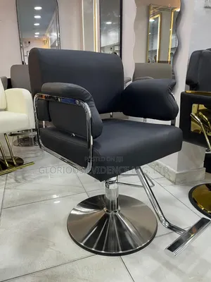 Unisex Salon Chair Wd2025