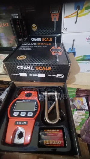 300kg Digital Crane Scale