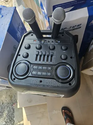 Ailipu 3121D Party Speaker