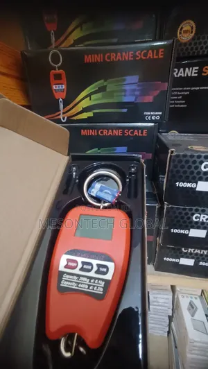 200kg Crane Scale