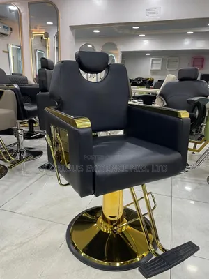Professional Barber Chair