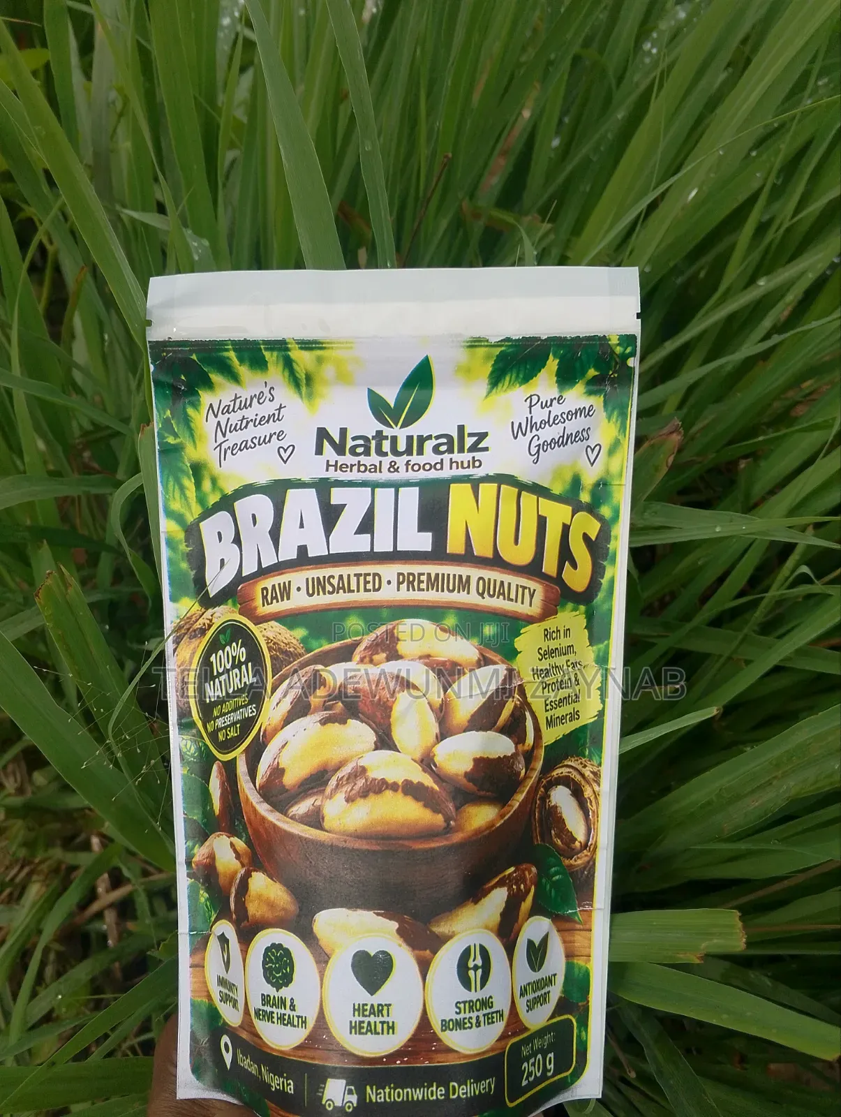 Brazil Nuts