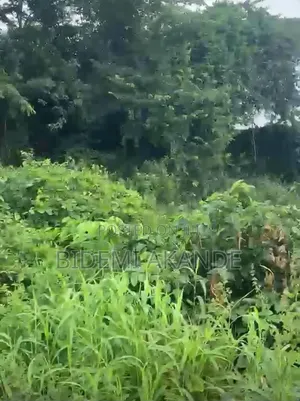 170 Acres of Commercial Land for Sale in Papalanto, Ogun State!
