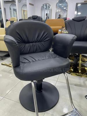 Unisex Salon Chair Wd2023