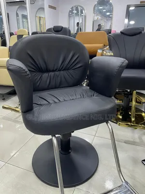 Unisex Salon Chair Wd2023