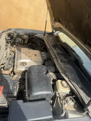 Lexus RX 2001 Silver