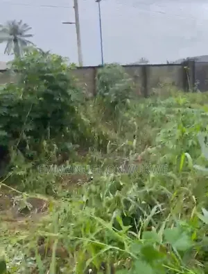 real Estate Alert: 3 Plots of Land at Y-Junction Ompadec, Igwuruta!