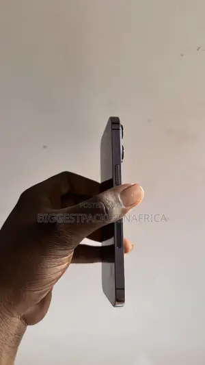 Apple iPhone 14 Pro Max 256 GB Gray
