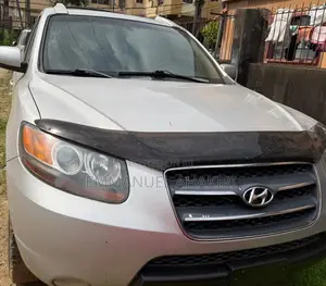 Hyundai Santa Fe 2007 Silver