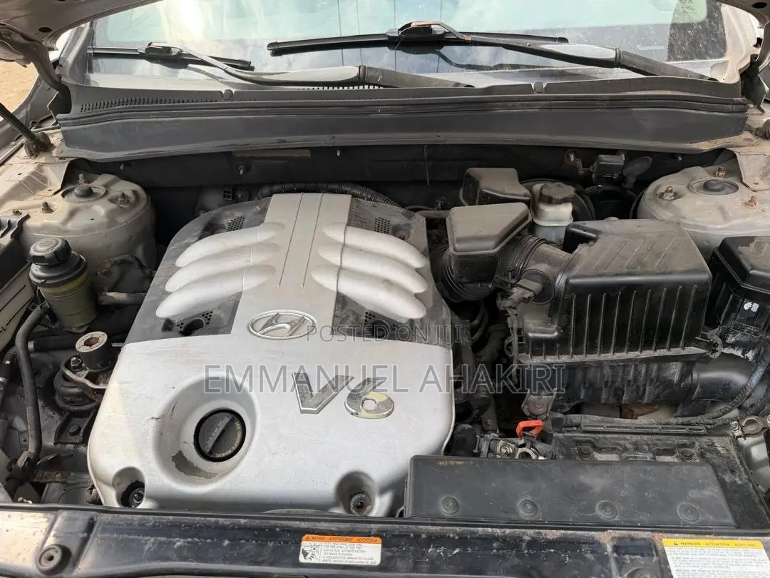 Hyundai Santa Fe 2007 Silver