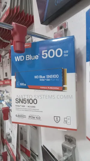 Sandisk Wd Blue Sn5100 Nvme SSD (500GB).