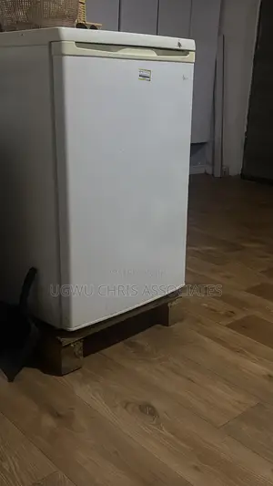 Inverter Freezer