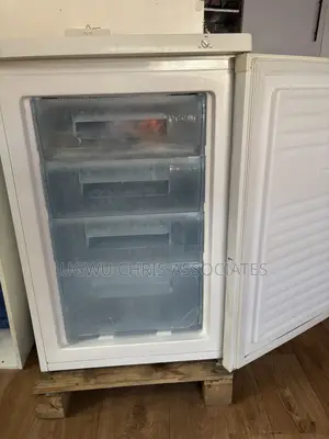 Inverter Freezer