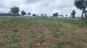 2000sqm Plot of Land in Kuje for Sale