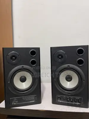 MS 40 Berlinger Studio Monitor Speaker