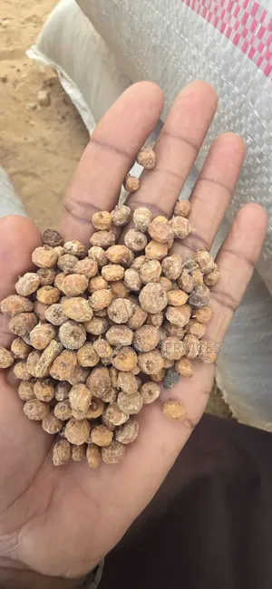 Clean Niger Aya (Tiger Nuts) Direct Supply