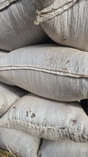 Clean Niger Aya (Tiger Nuts) Direct Supply