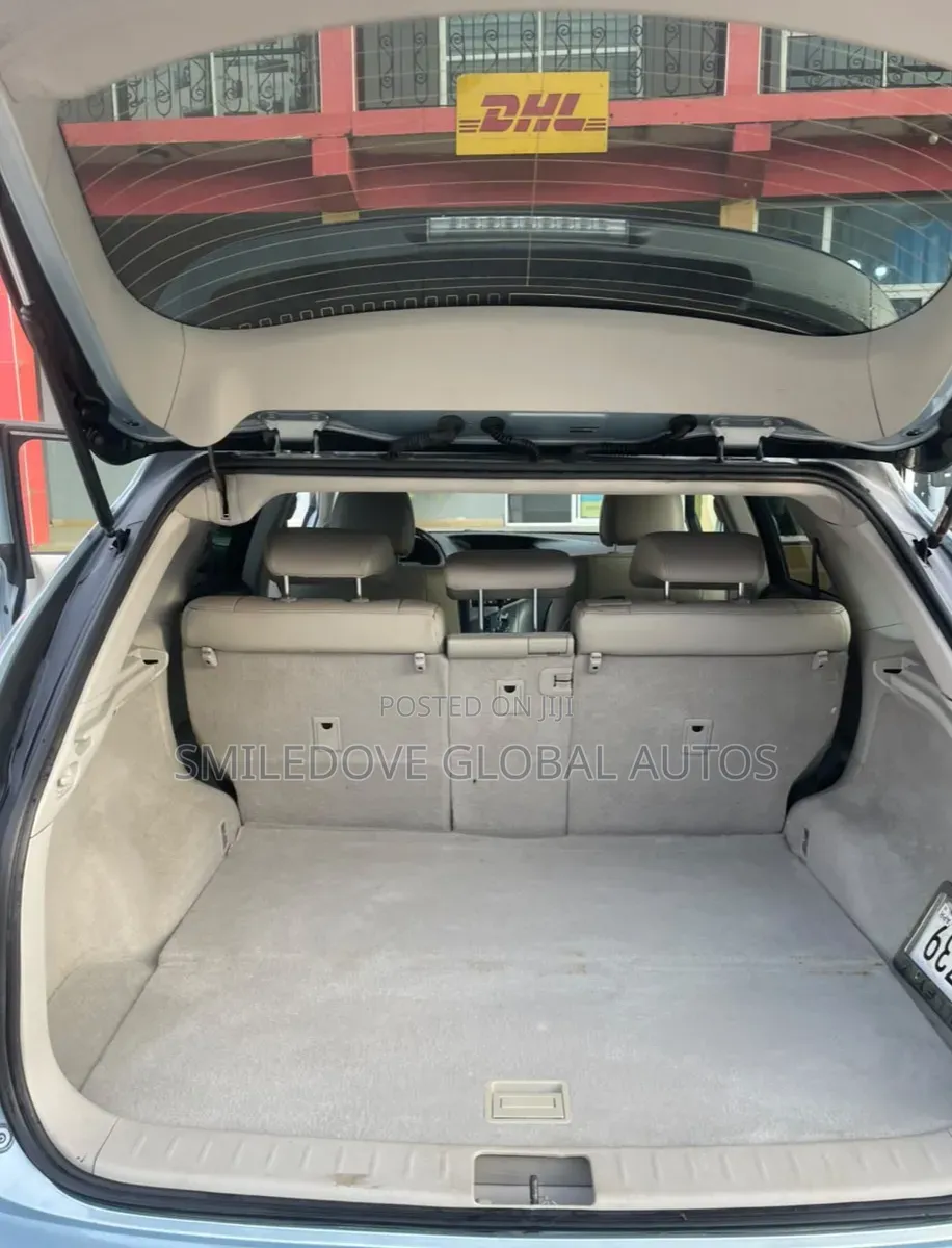 Lexus RX 2010 Blue