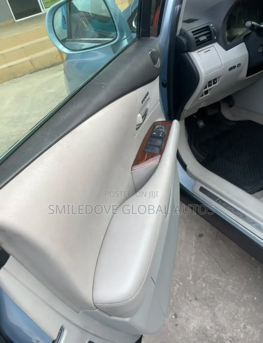 Lexus RX 2010 Blue