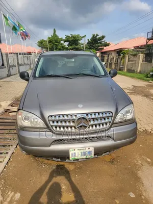 Mercedes-Benz M Class ML 320 2002 Gray