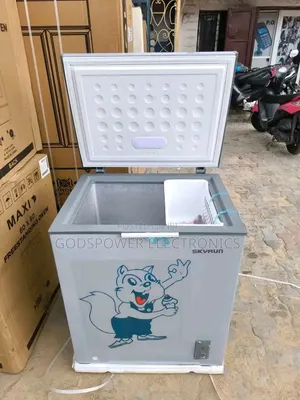 Skyrun 180 Liters Inverter Chest Freezer