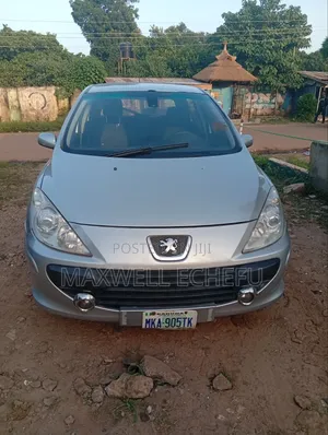 Peugeot 307 2007 Silver