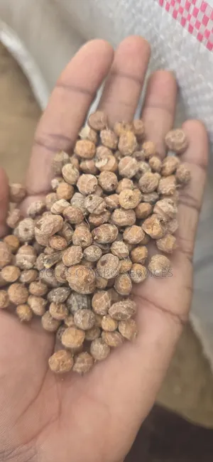 Clean Niger Aya (Tiger Nuts) Direct Supply