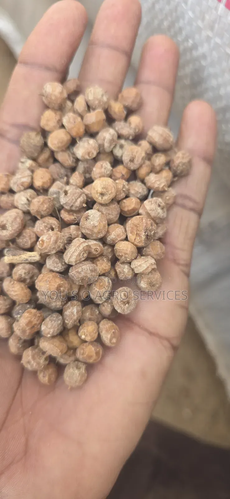 Clean Niger Aya (Tiger Nuts) Direct Supply