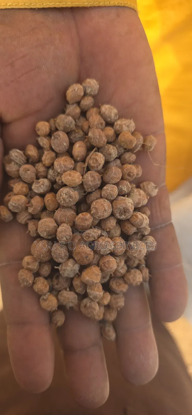 Clean Niger Aya (Tiger Nuts) Direct Supply