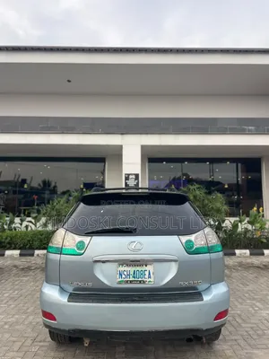 Lexus RX 2009 Blue