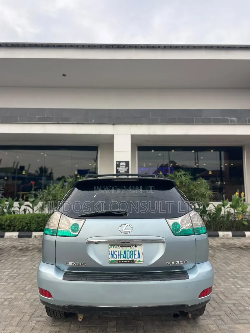 Lexus RX 2009 Blue
