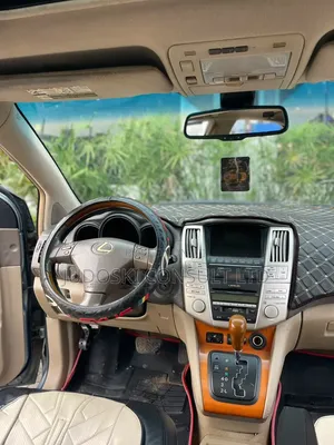 Lexus RX 2009 Blue