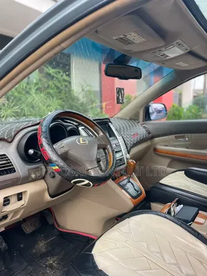 Lexus RX 2009 Blue