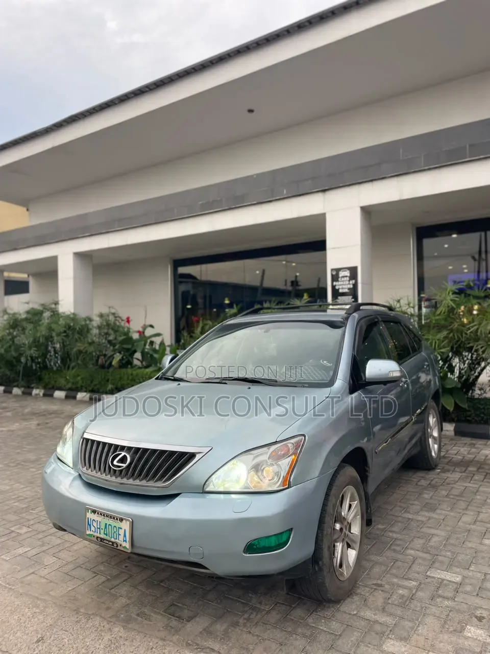 Lexus RX 2009 Blue