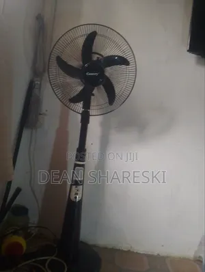 Standing Fan