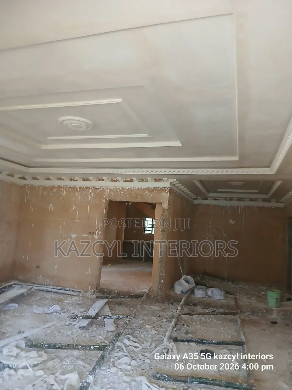 Royal Ceilings and Wall Designs