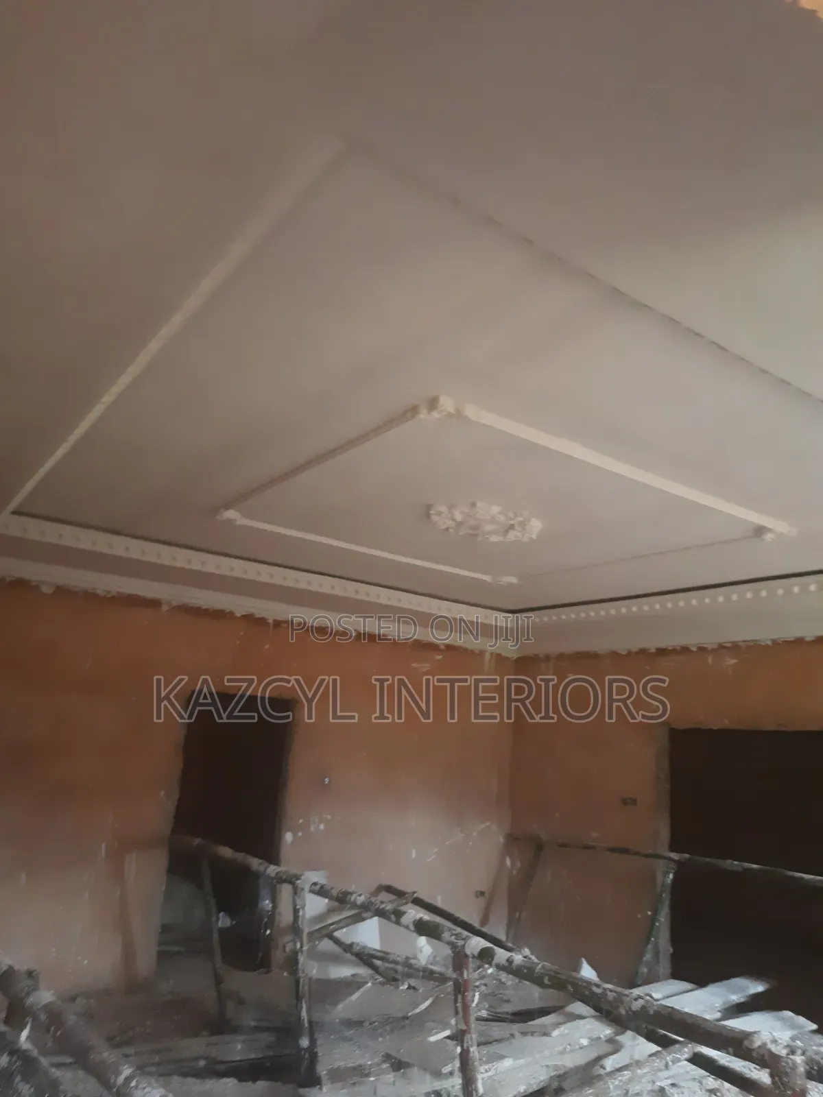 Royal Ceilings and Wall Designs