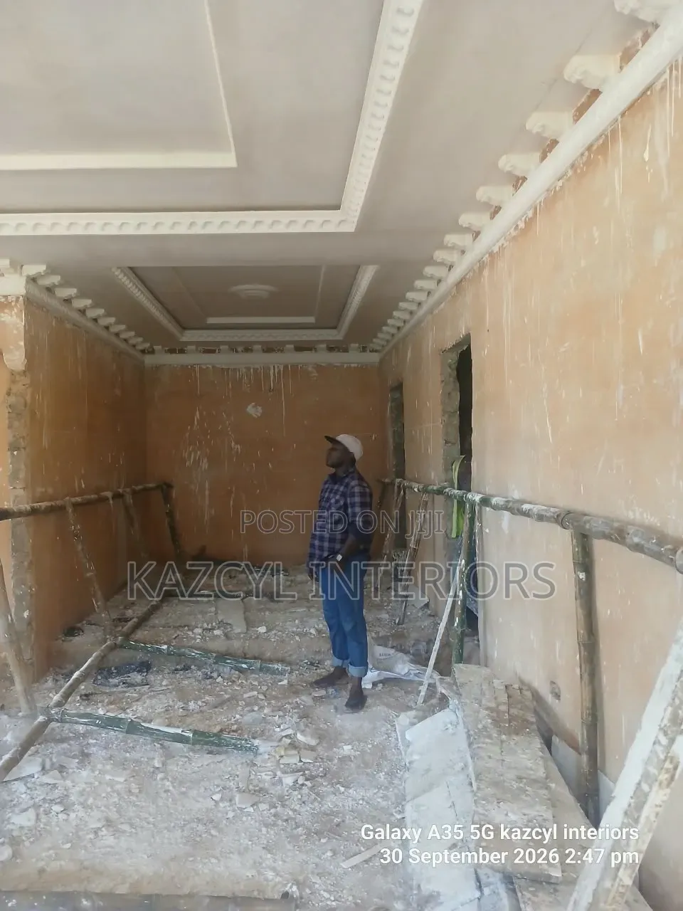 Royal Ceilings and Wall Designs