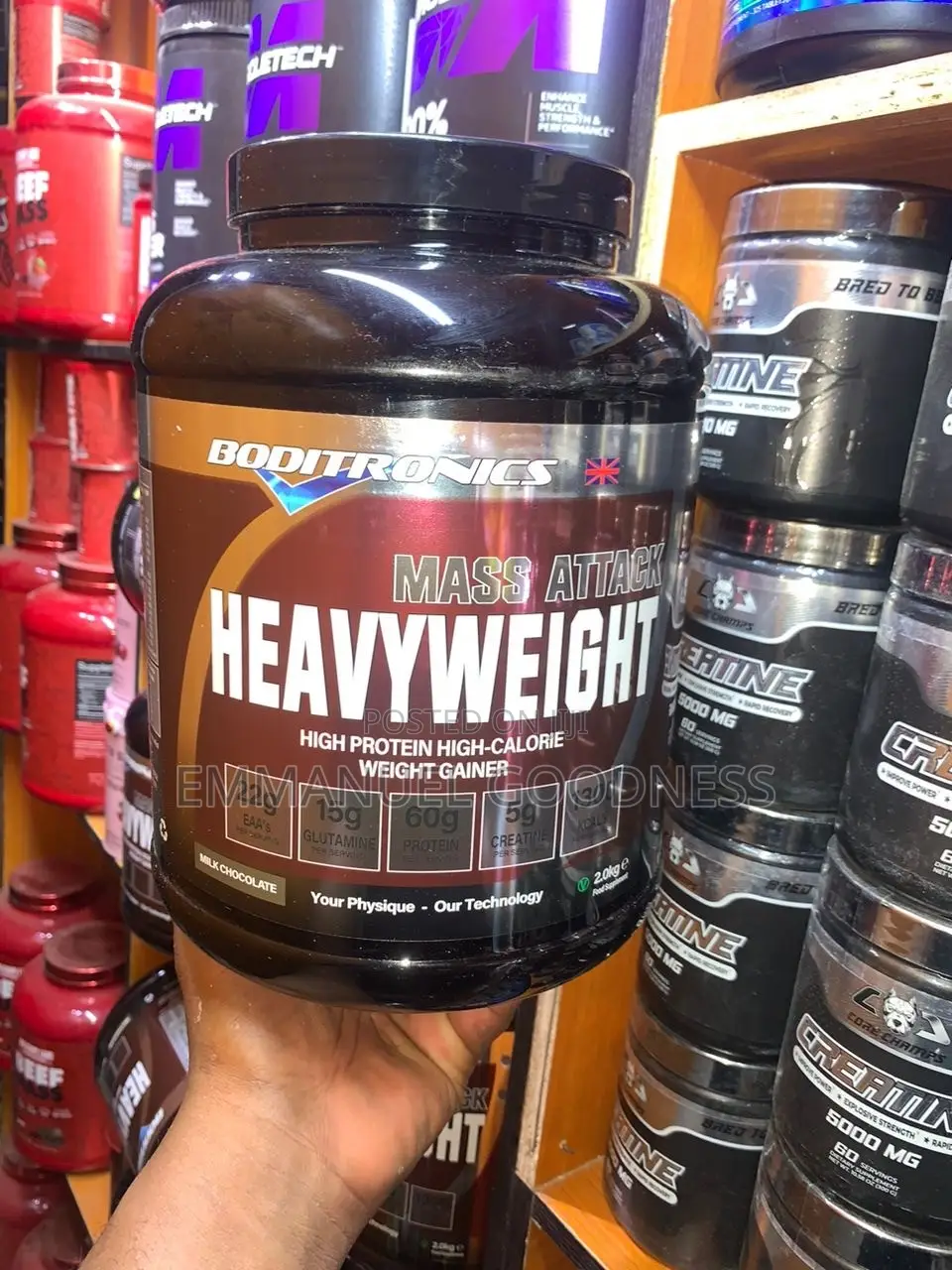 Supplement
