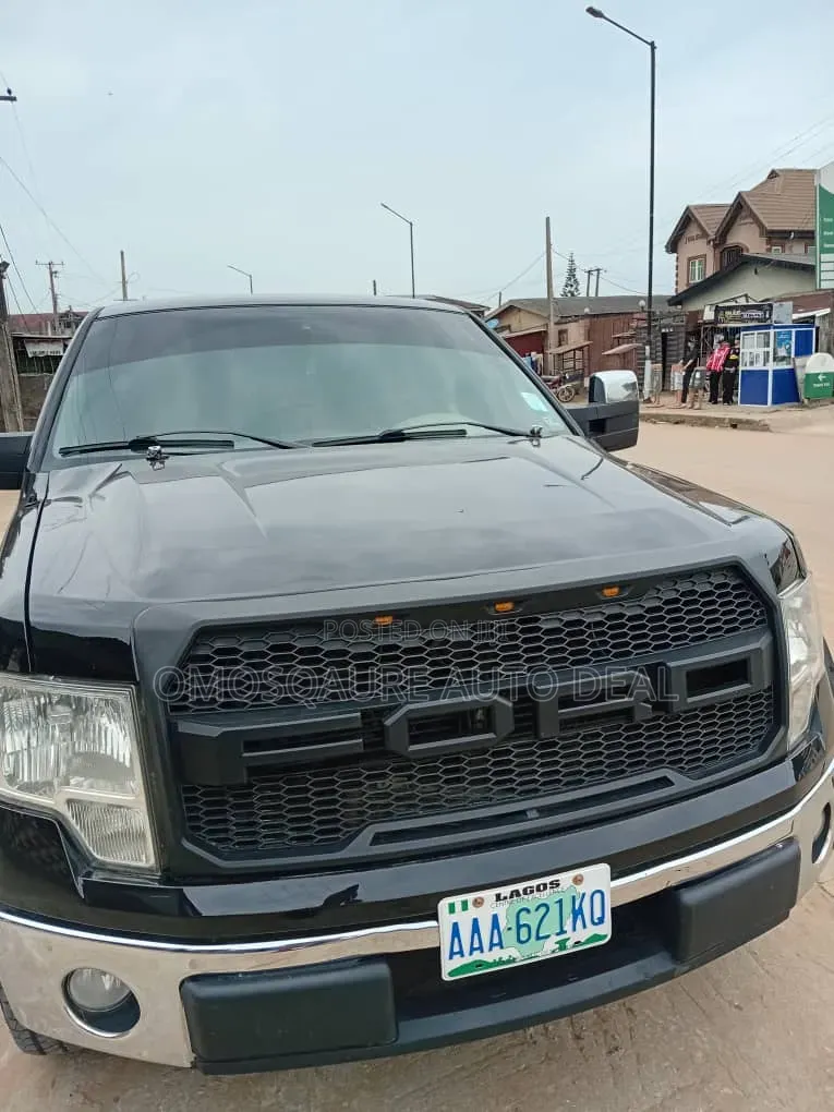 Ford F-150 2010 Black
