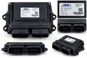 CNG Electronic Control Unit (ECU)