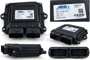 CNG Electronic Control Unit (ECU)